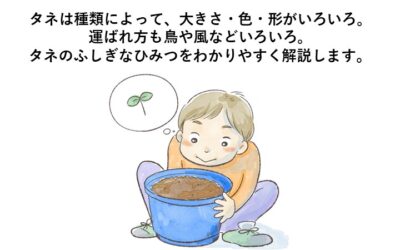 熱帯環境植物館講座ポスター